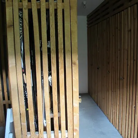公寓 Lenzerheide Apartment 伦策海德